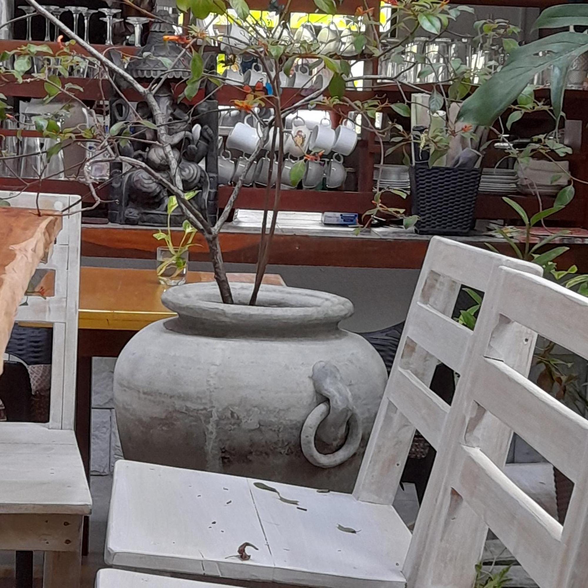גאלה Shoba Traveller'S Tree Homes Stay מראה חיצוני תמונה