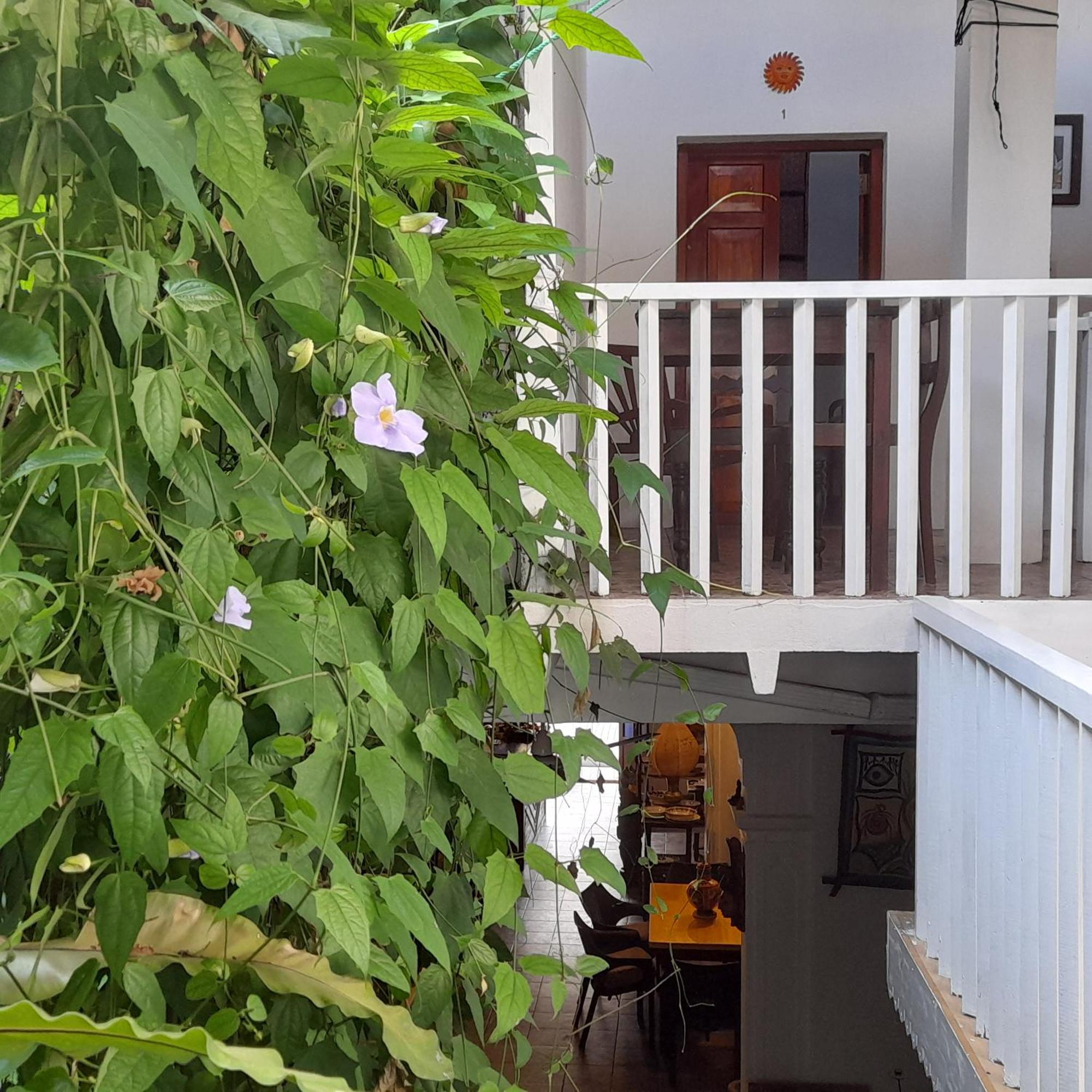גאלה Shoba Traveller'S Tree Homes Stay מראה חיצוני תמונה